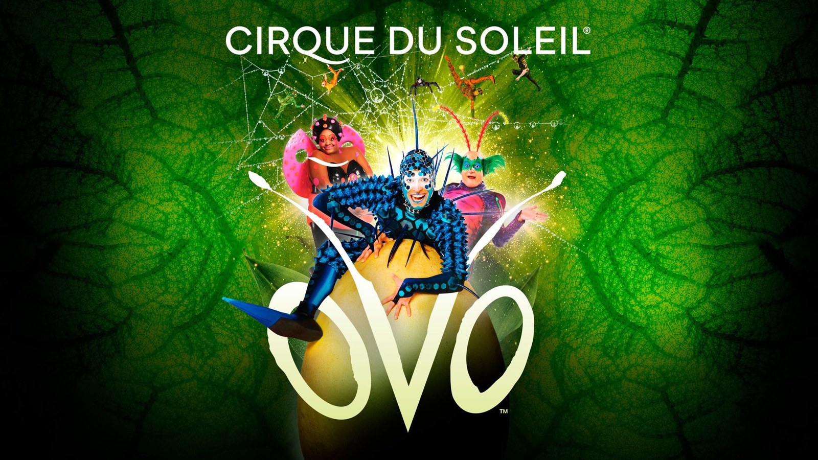 Cirque du Soleil - OVO