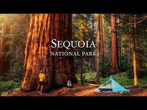 Sequoia National Park