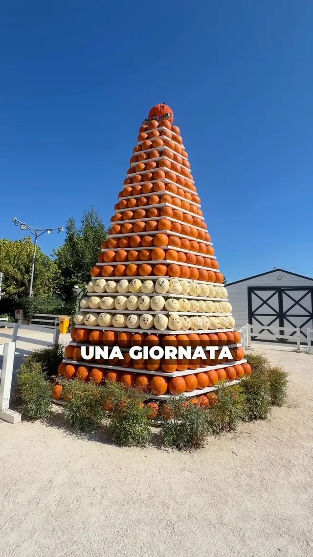 Il giardino delle zucche