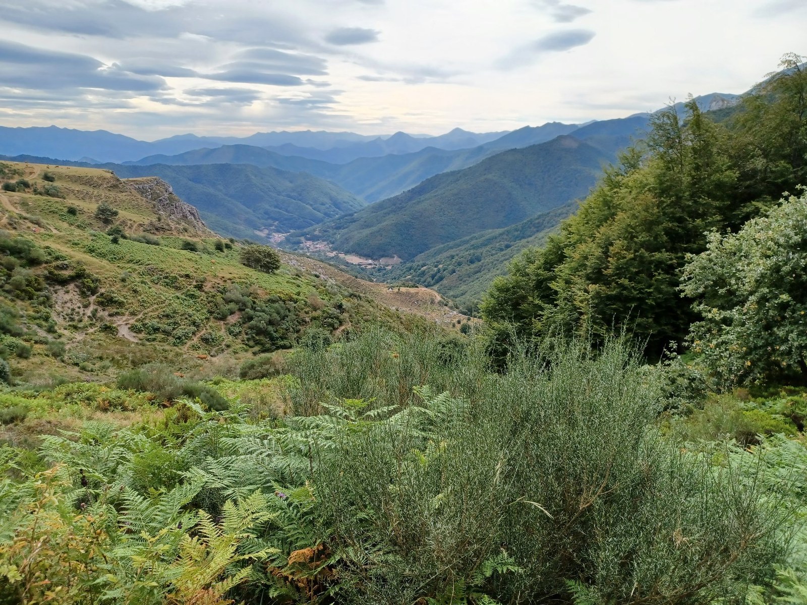 Picos de Europa