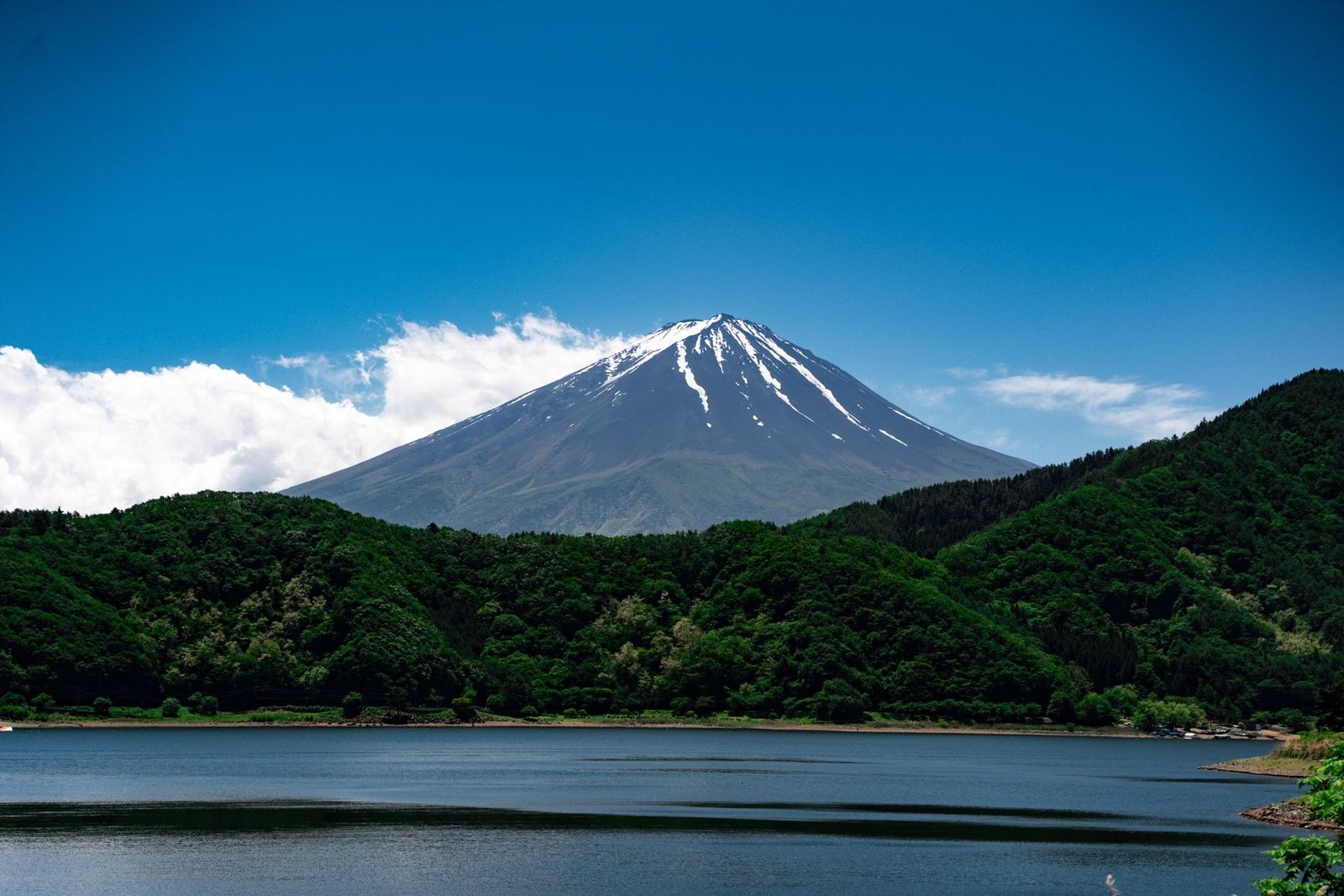 Mount Fuji