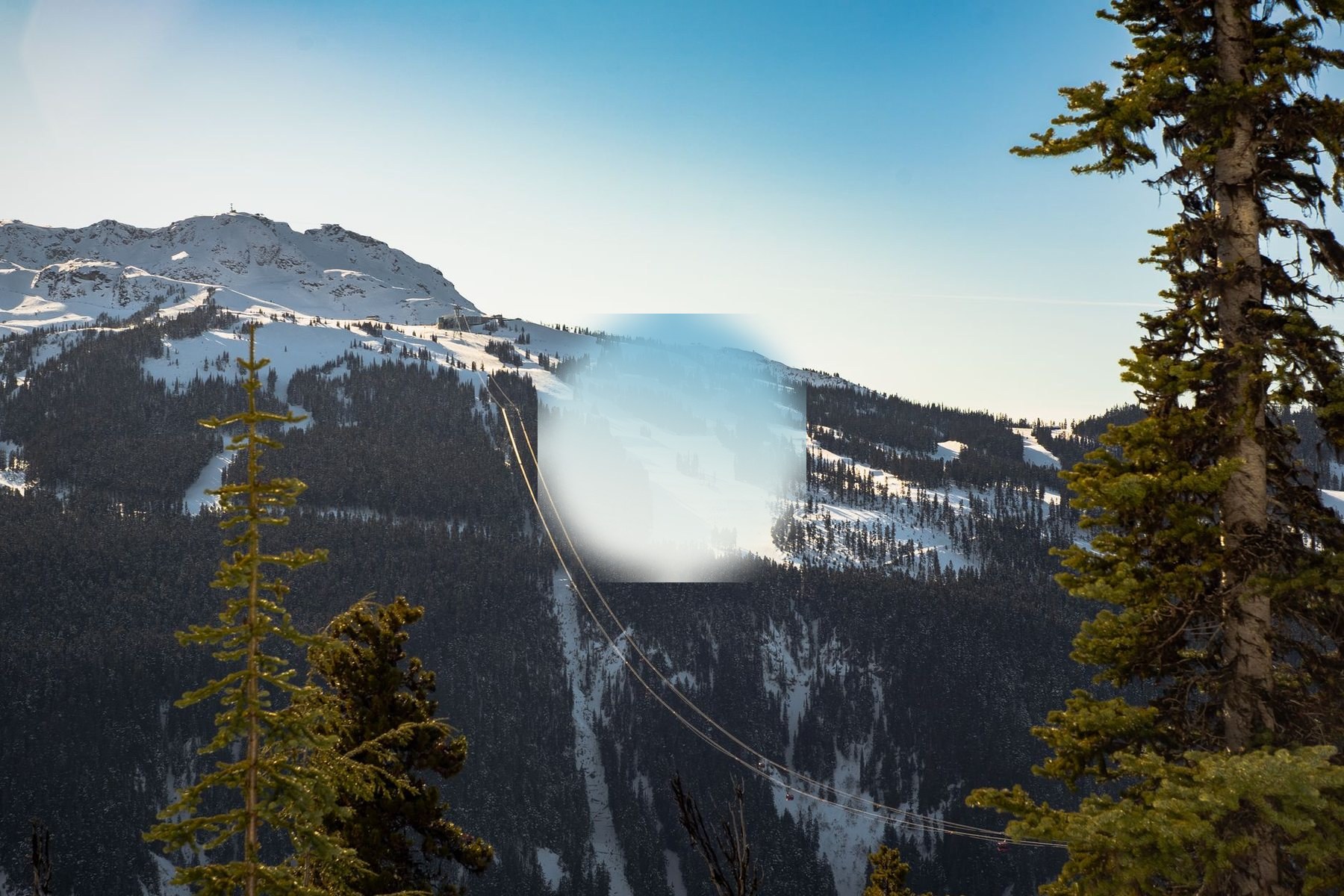 Whistler